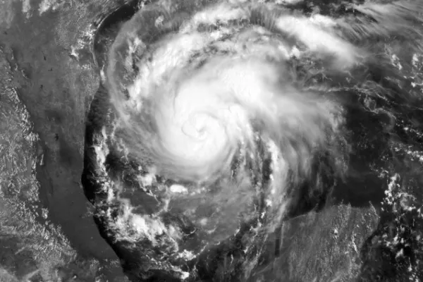 harvey.png