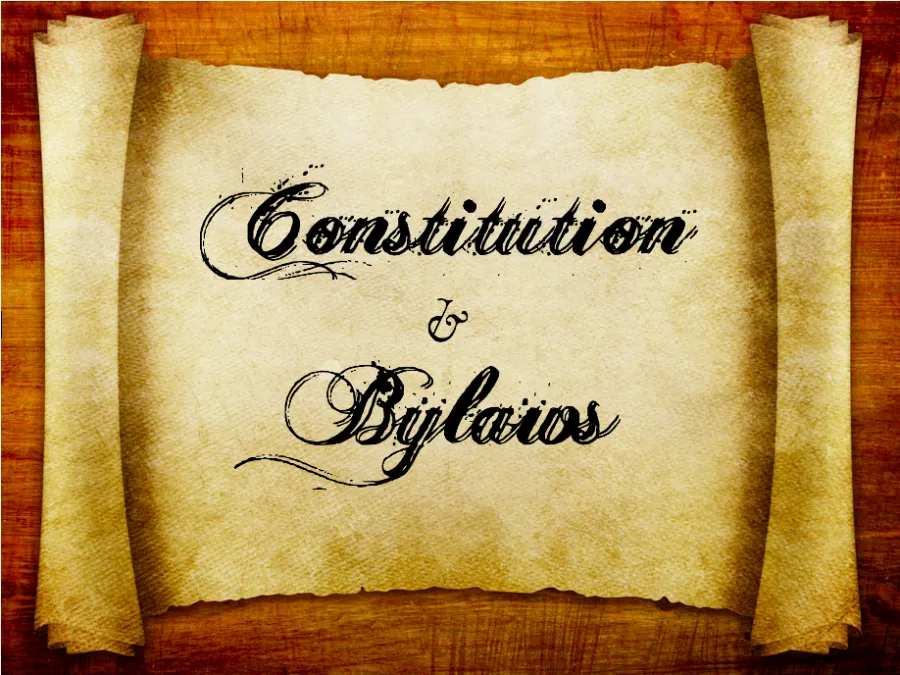 constitution_and_bylaws_image.png